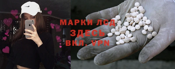 гашик Алексин