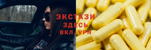 гашик Алексин
