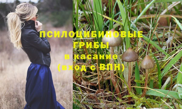 Альфа ПВП Нязепетровск