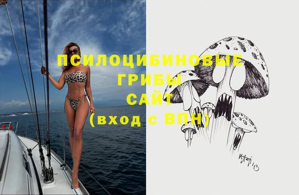 2c-b Осинники