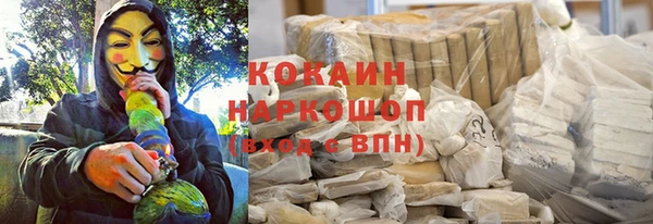 мескалин Няндома