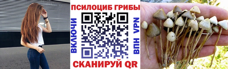 ссылка на мегу ТОР  Электроугли  Галлюциногенные грибы ЛСД 